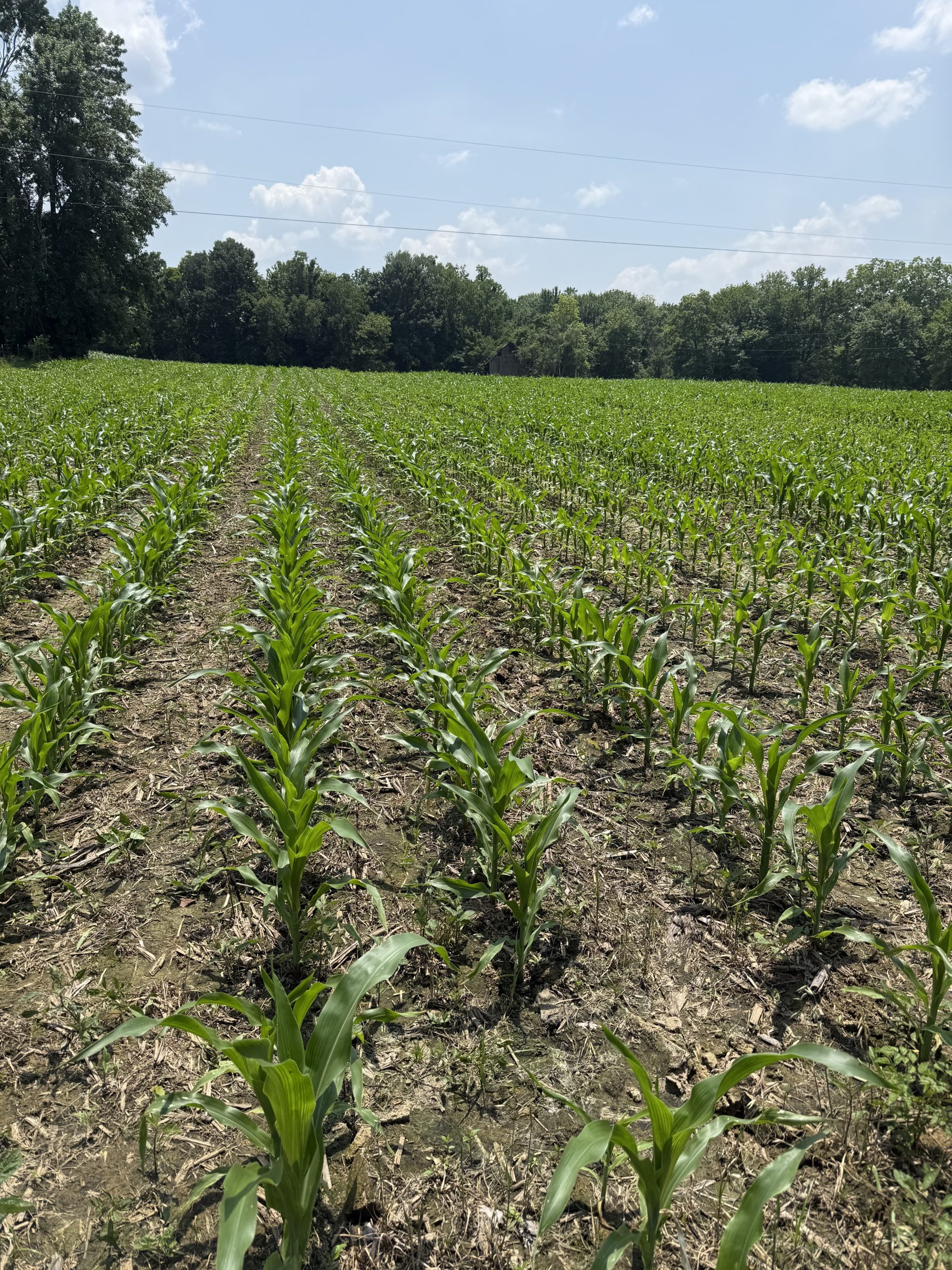 6416 in Tennessee