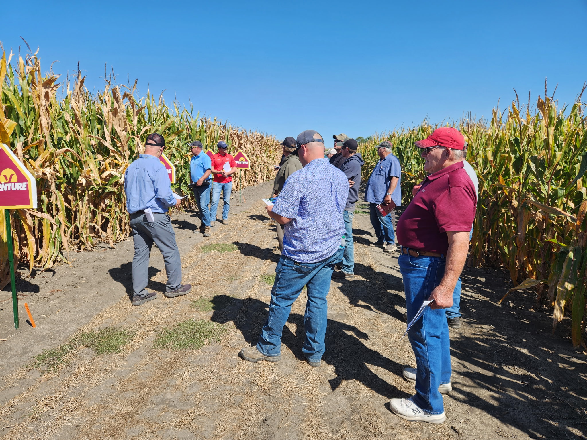 AgVenture plot day in Ivesdale, IL