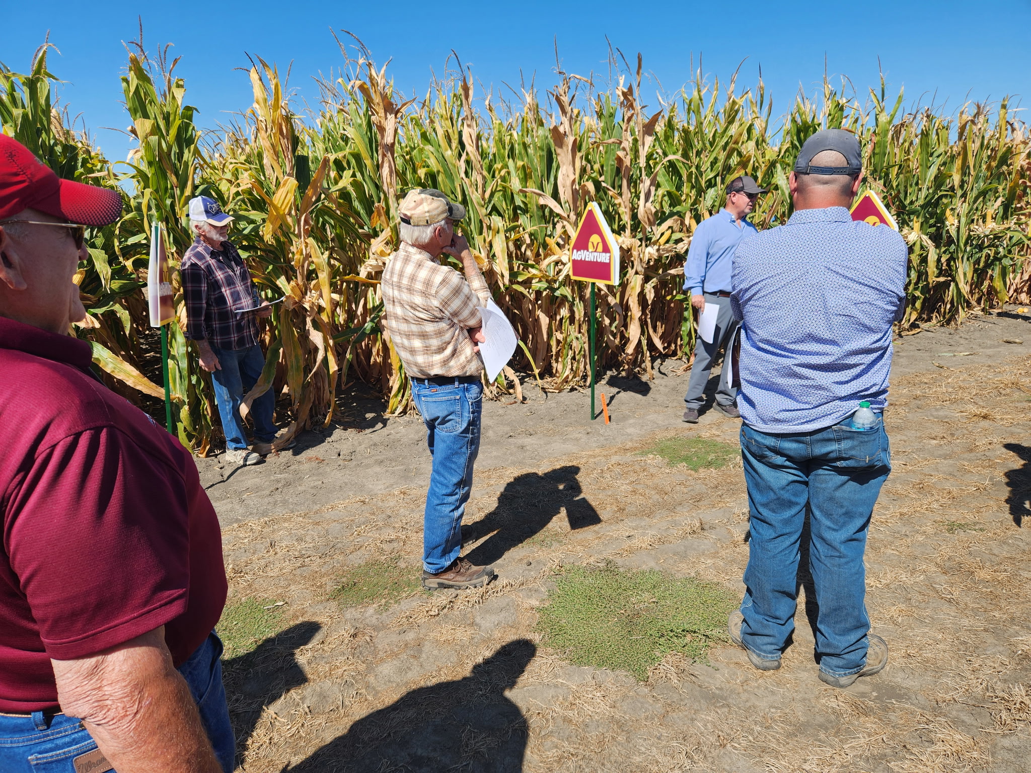 AgVenture plot day in Ivesdale, IL