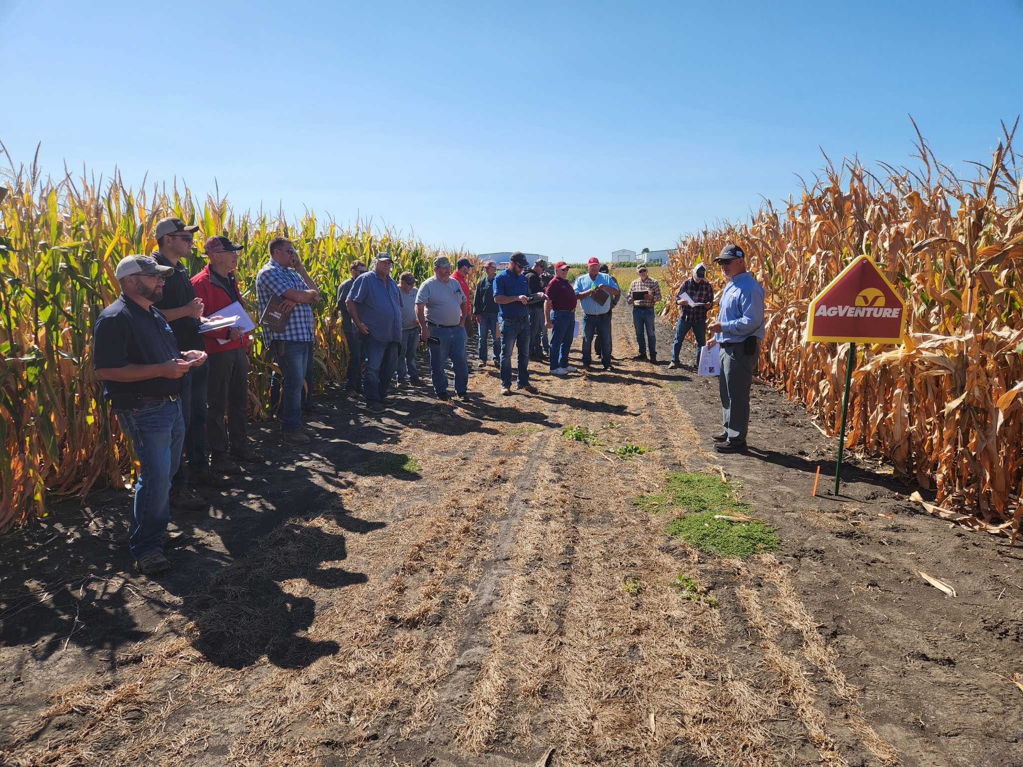 AgVenture plot day in Ivesdale, IL