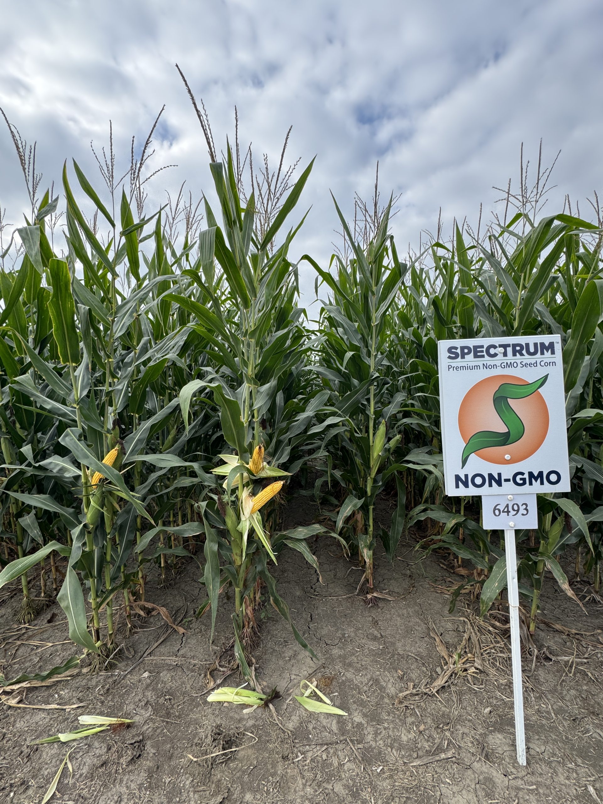 Spectrum plot at Teuscher Family Farm, Tipton, IN