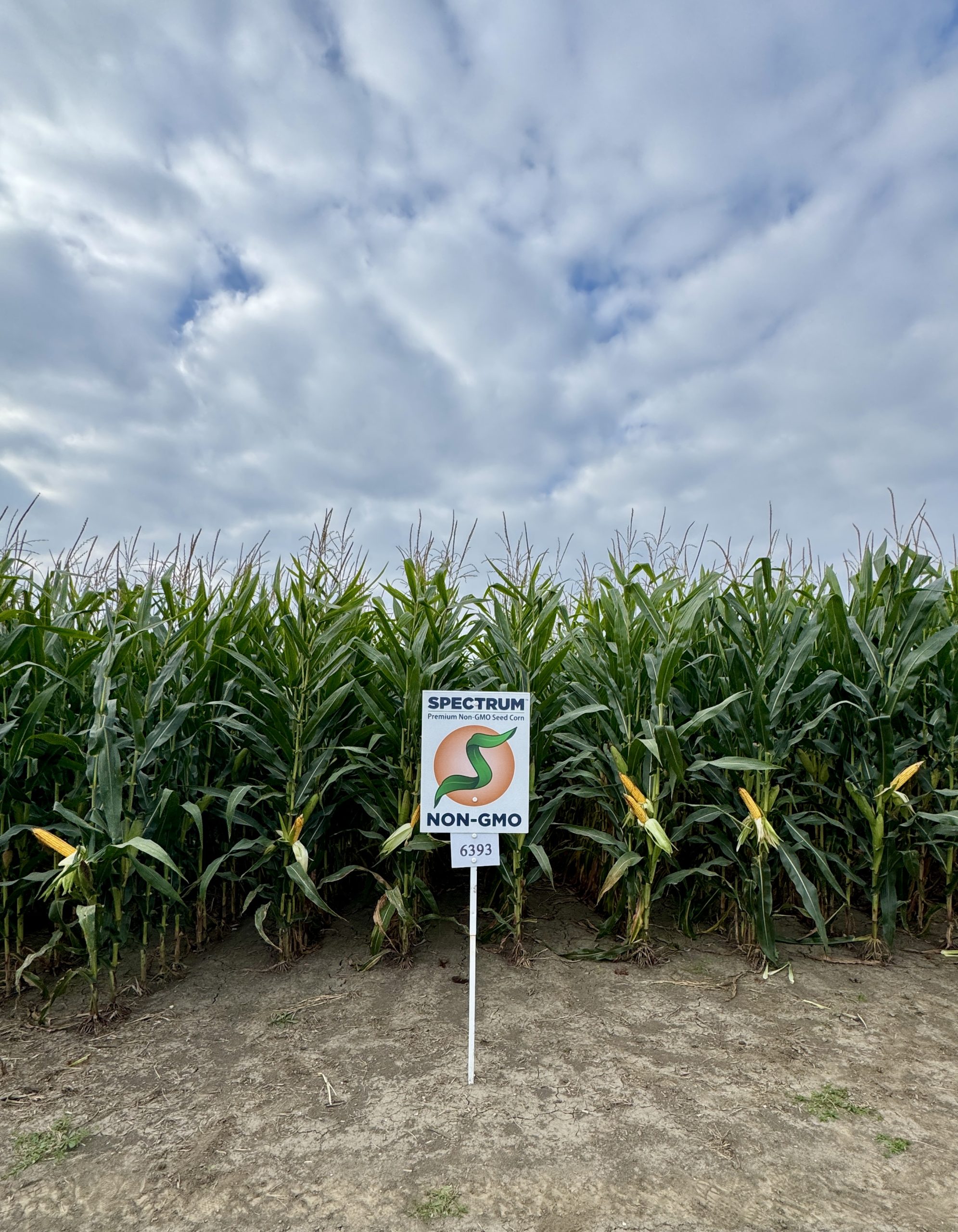 Spectrum plot at Teuscher Family Farm, Tipton, IN