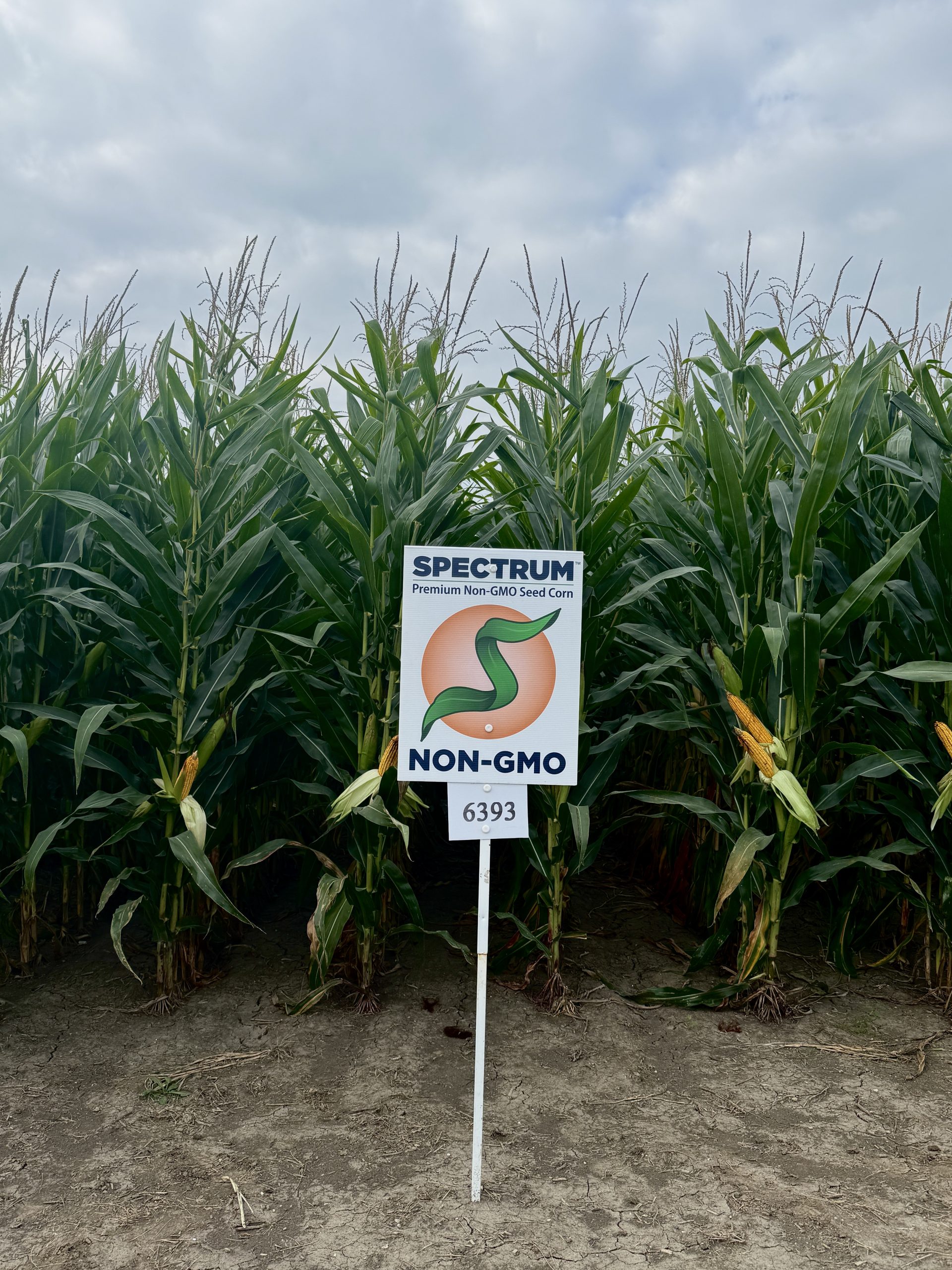 Spectrum plot at Teuscher Family Farm, Tipton, IN