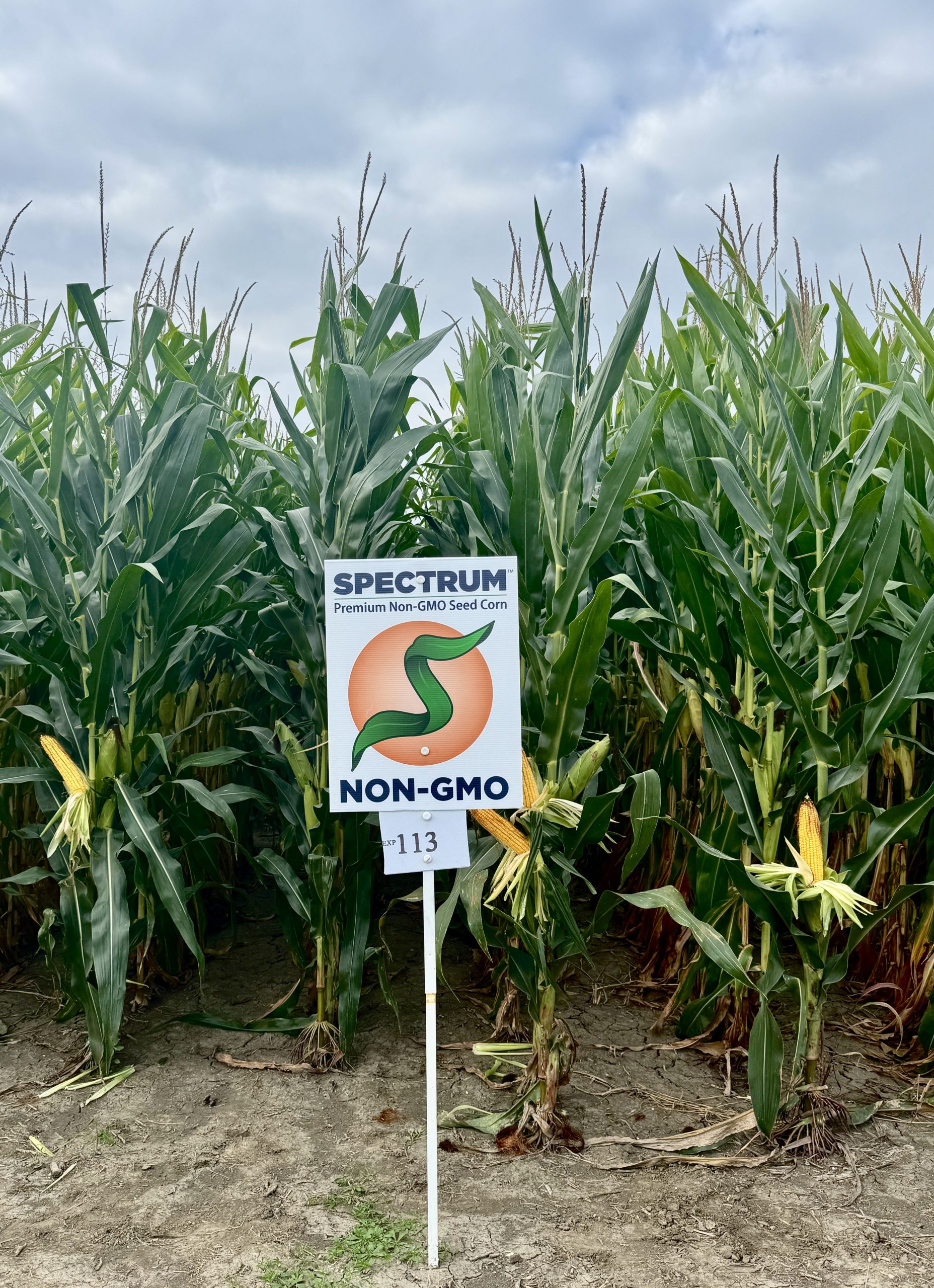 Spectrum plot at Teuscher Family Farm, Tipton, IN