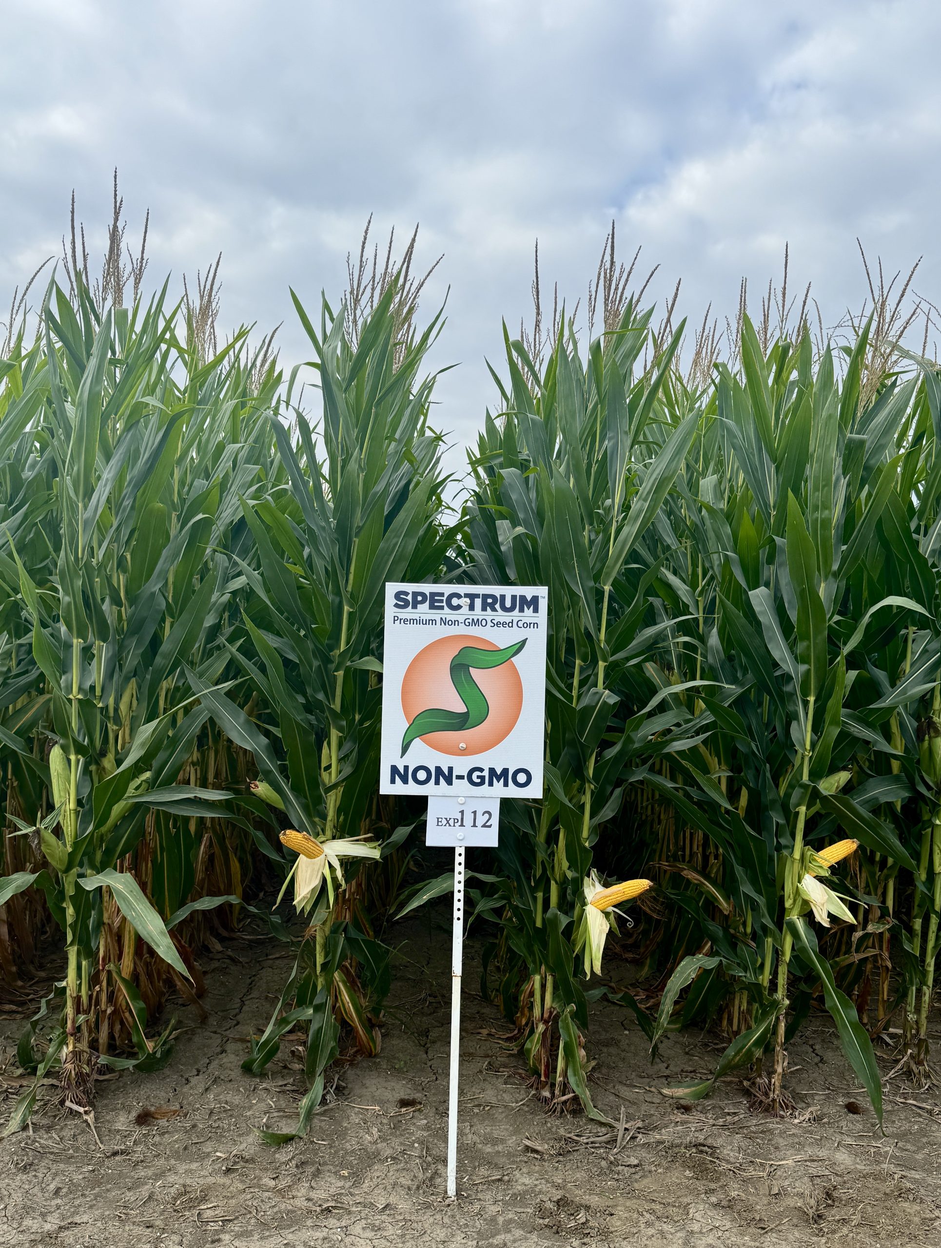 Spectrum plot at Teuscher Family Farm, Tipton, IN