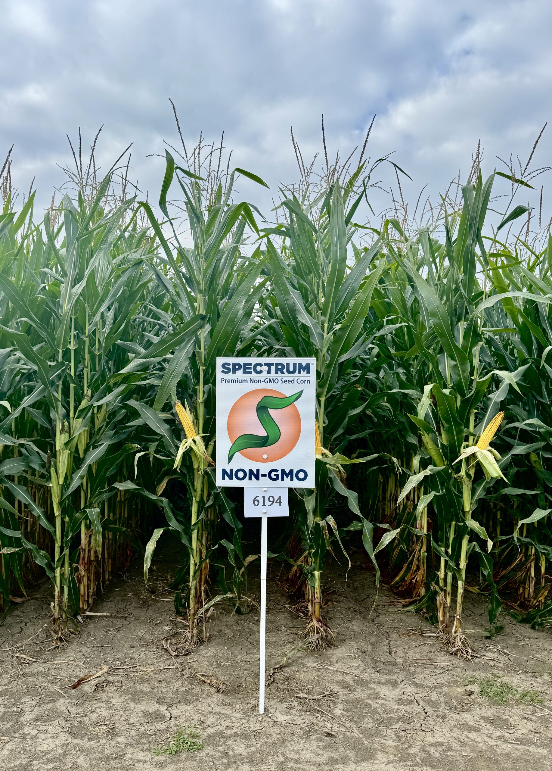 Spectrum plot at Teuscher Family Farm, Tipton, IN