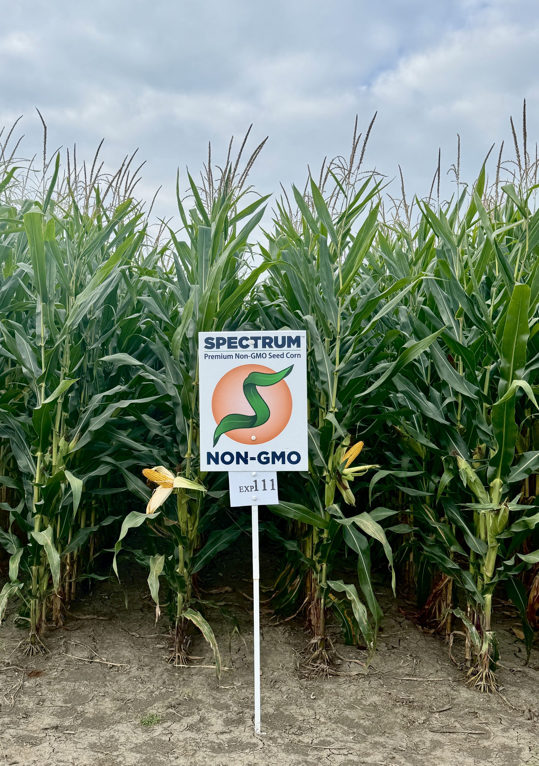 Spectrum plot at Teuscher Family Farm, Tipton, IN