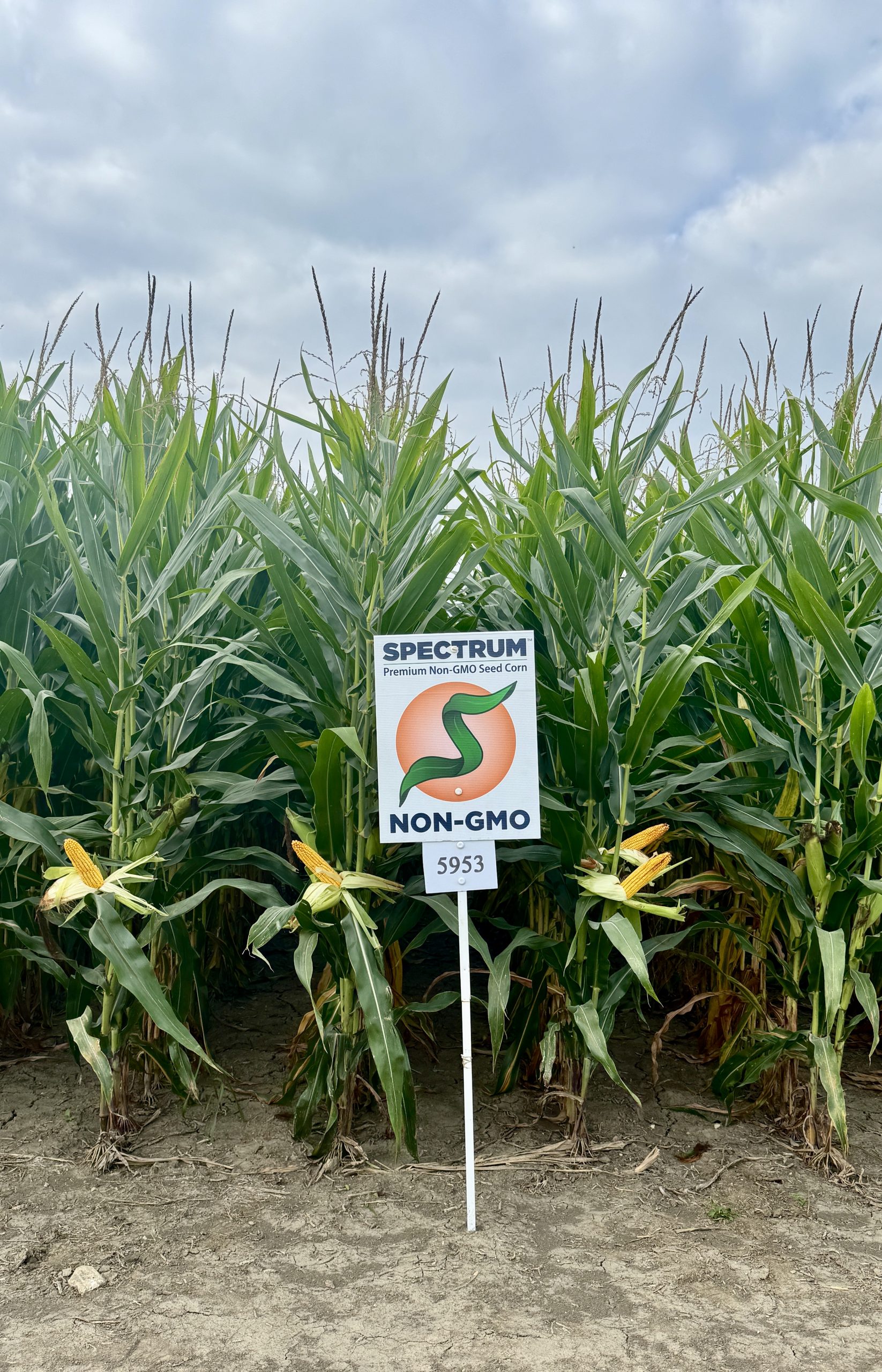 Spectrum plot at Teuscher Family Farm, Tipton, IN