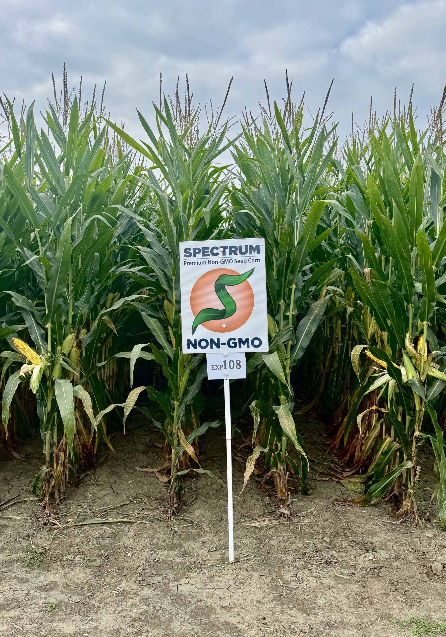 Spectrum plot at Teuscher Family Farm, Tipton, IN