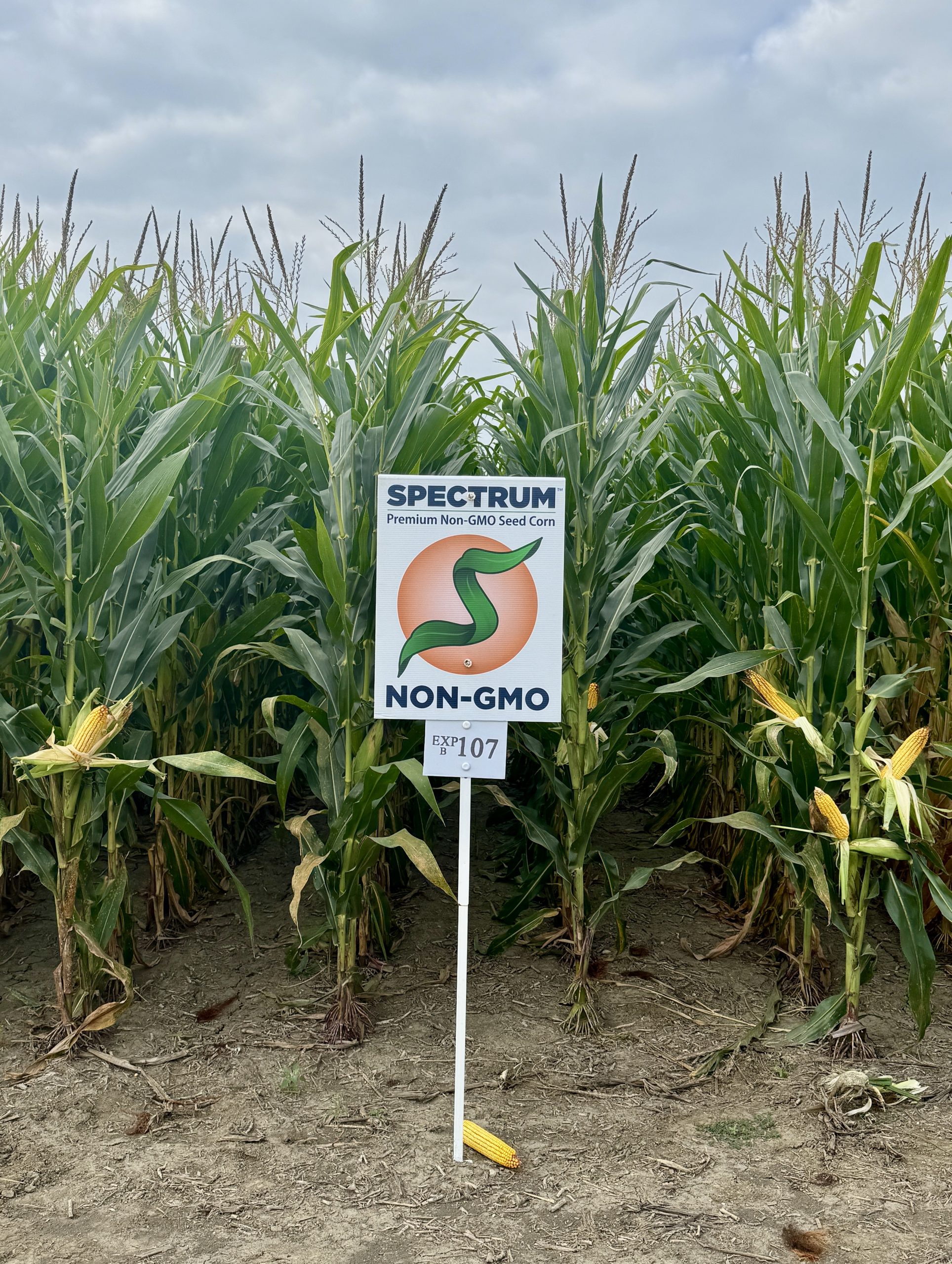 Spectrum plot at Teuscher Family Farm, Tipton, IN