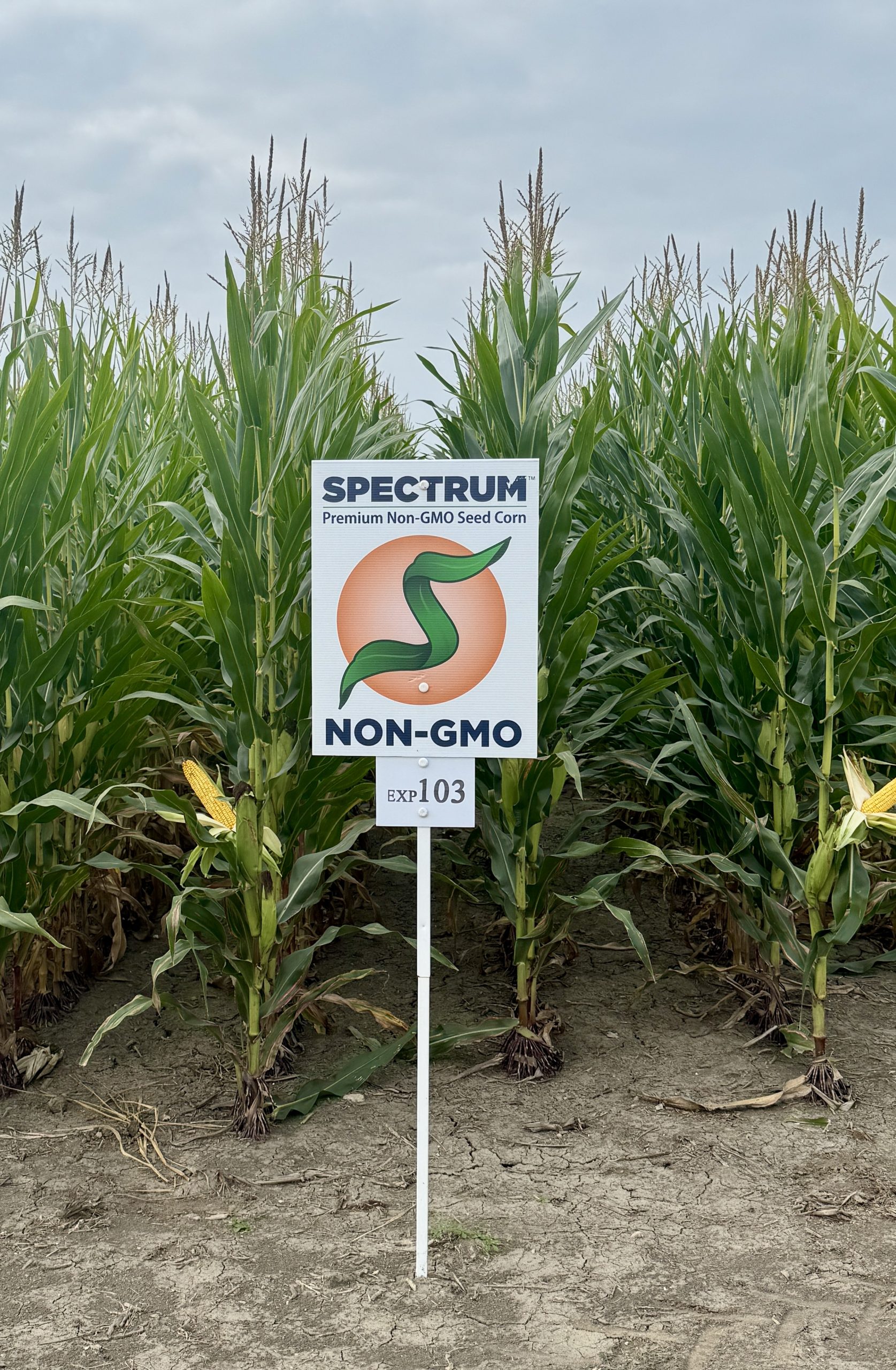 Spectrum plot at Teuscher Family Farm, Tipton, IN