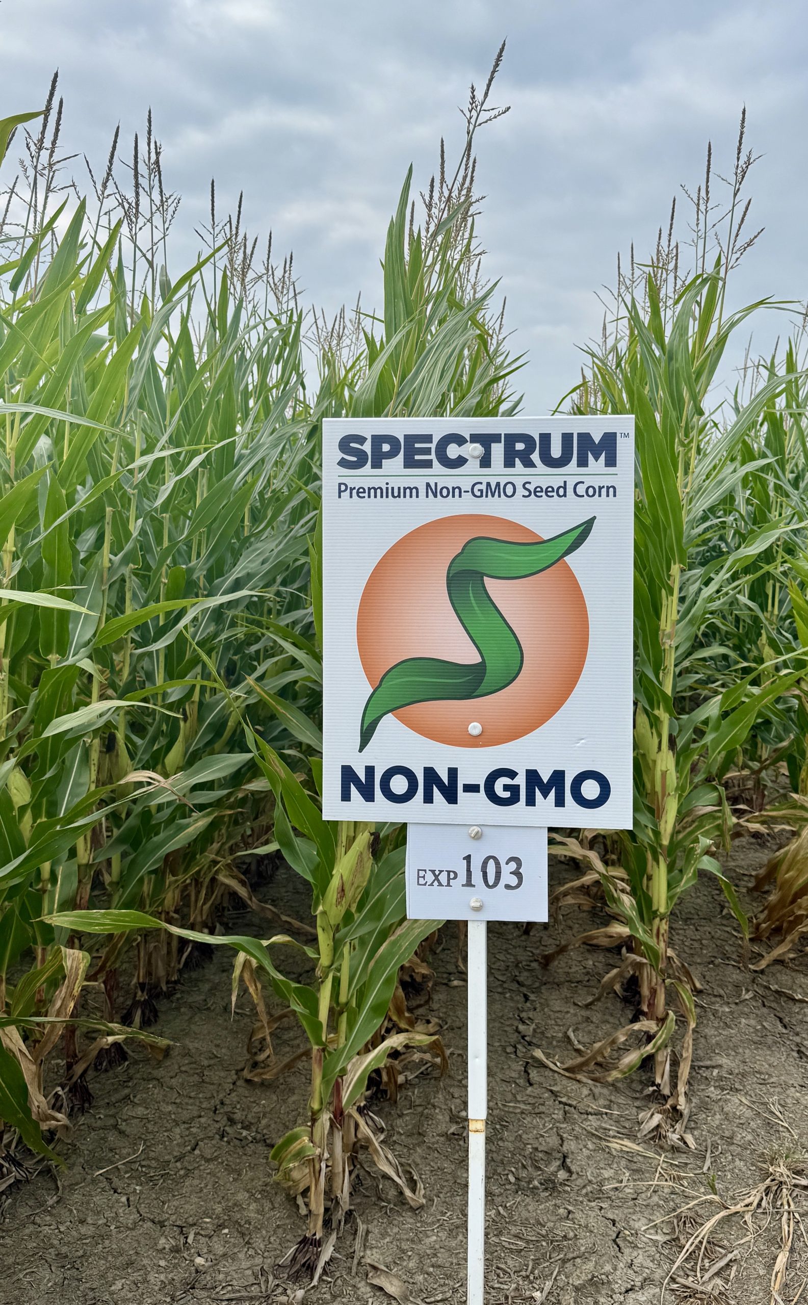Spectrum plot at Teuscher Family Farm, Tipton, IN