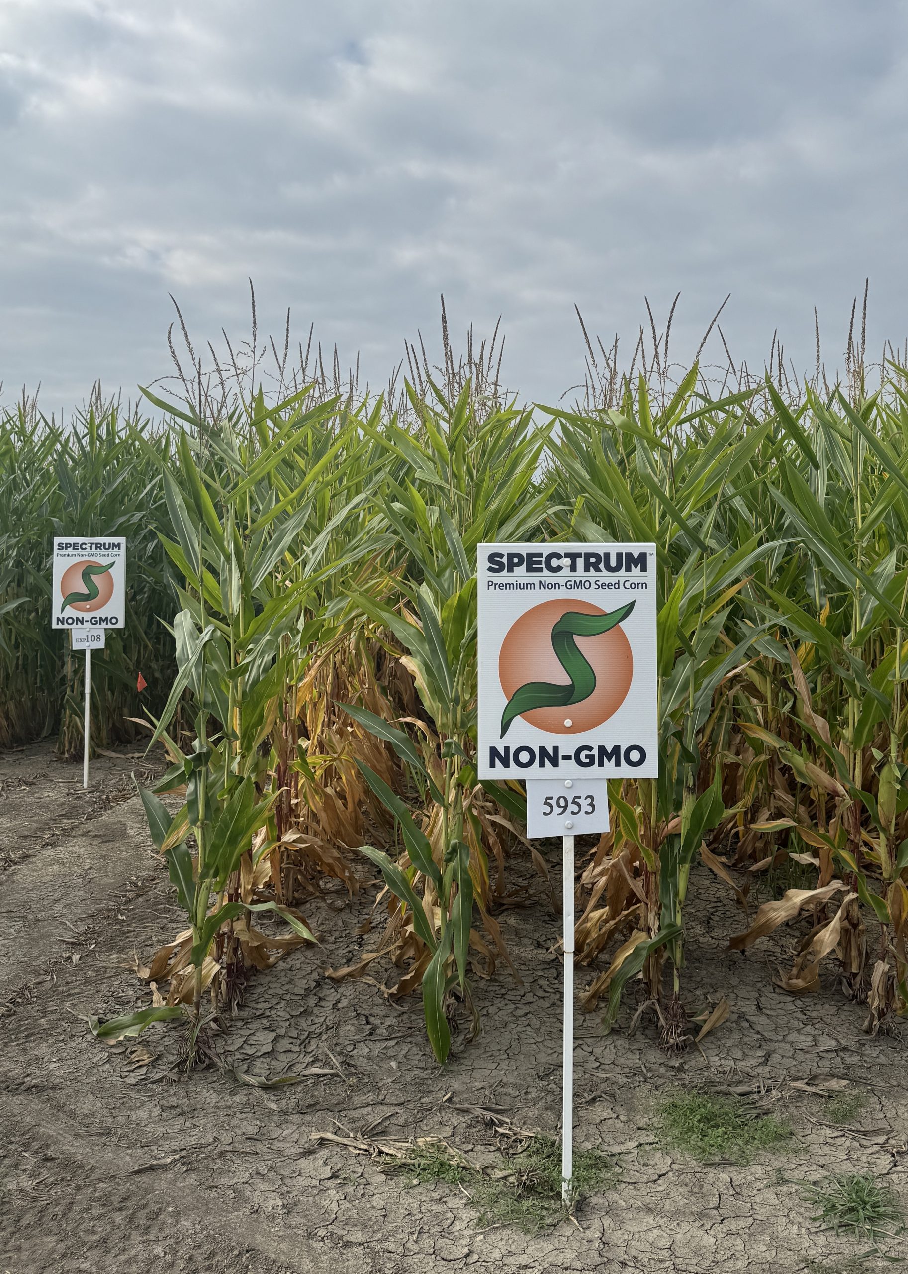 Spectrum plot at Teuscher Family Farm, Tipton, IN
