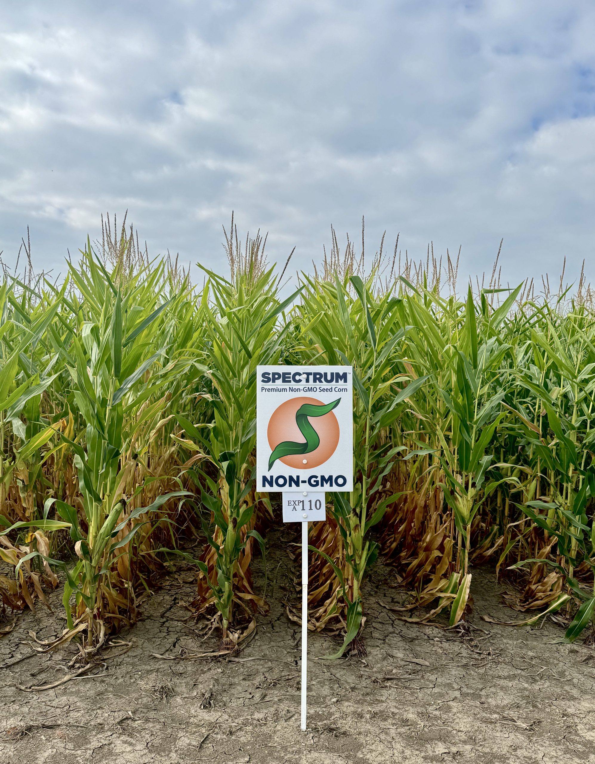 Spectrum plot at Teuscher Family Farm, Tipton, IN