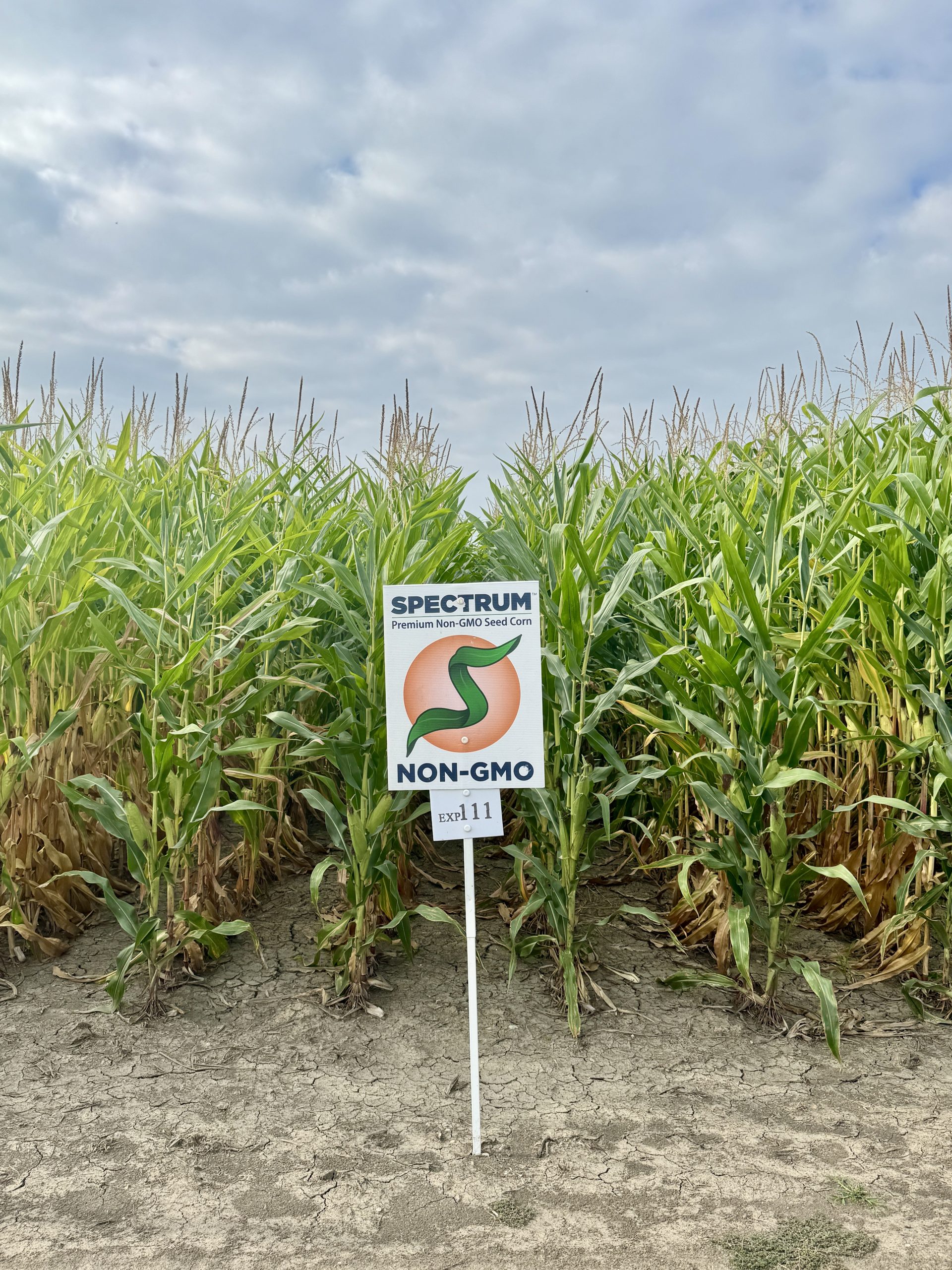 Spectrum plot at Teuscher Family Farm, Tipton, IN