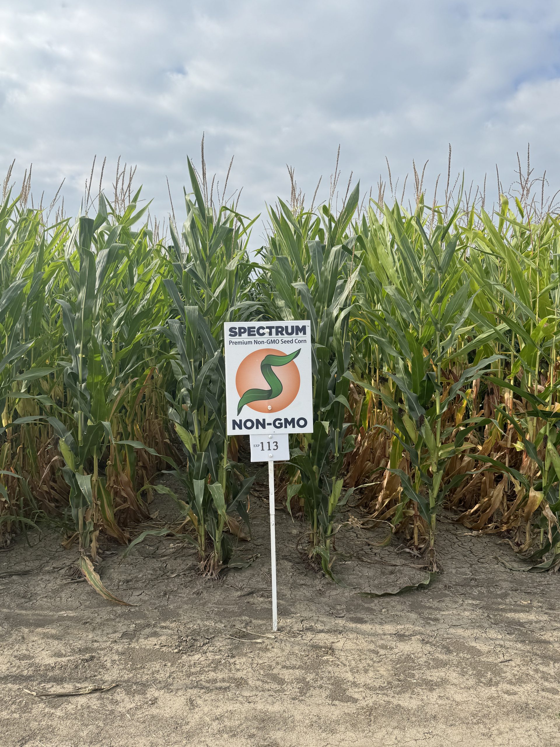 Spectrum plot at Teuscher Family Farm, Tipton, IN