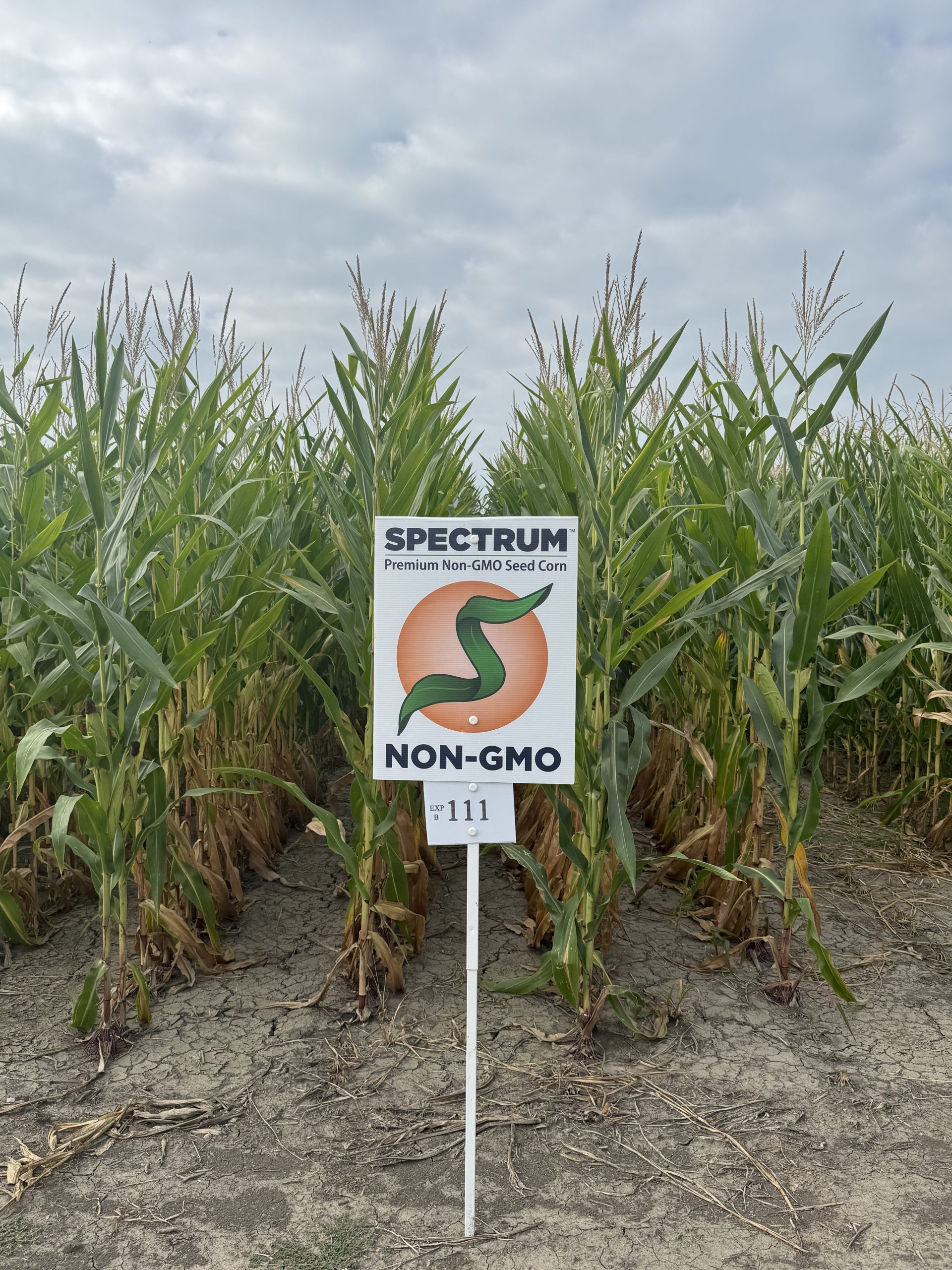 Spectrum plot at Teuscher Family Farm, Tipton, IN