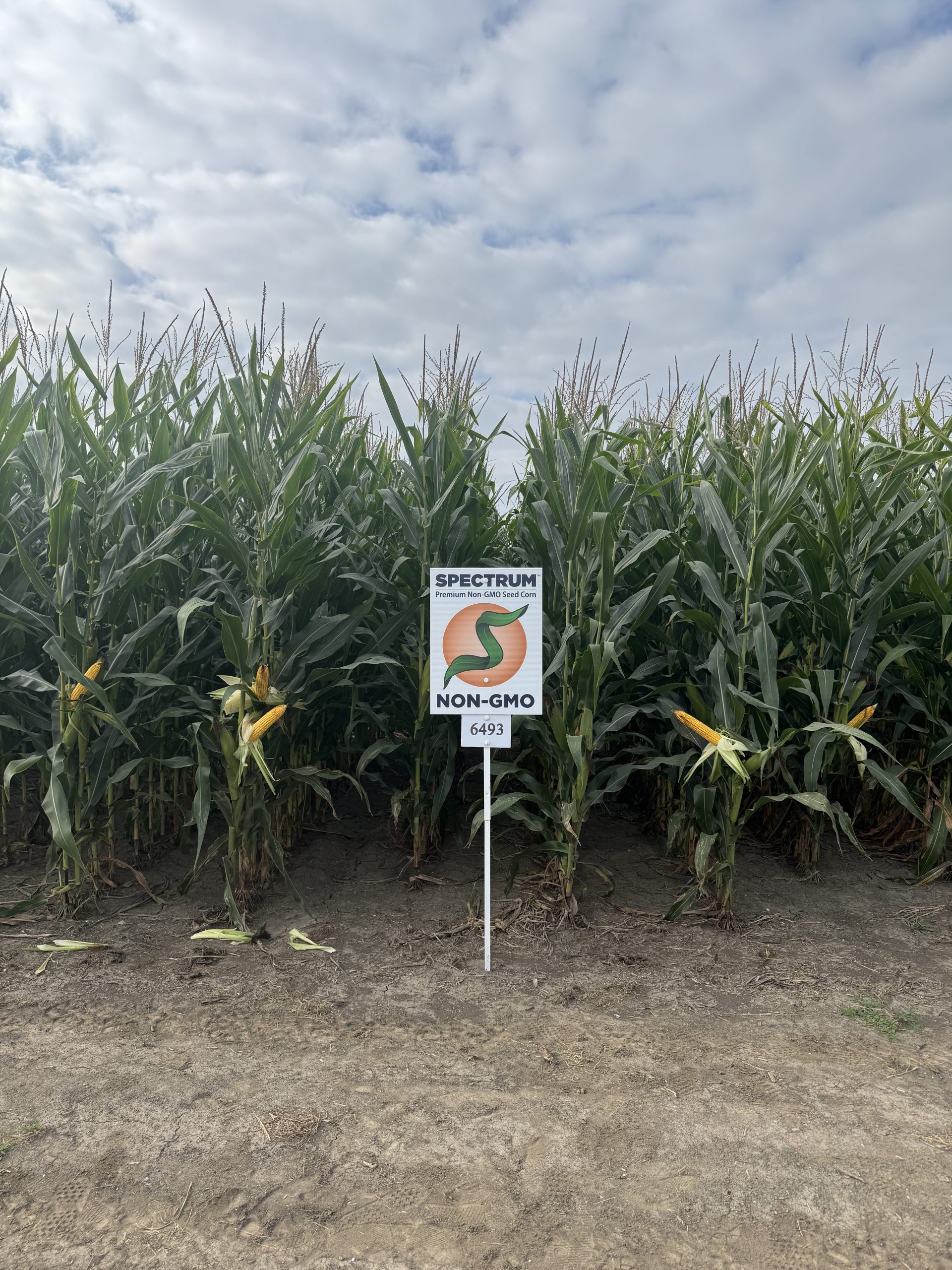 Spectrum plot at Teuscher Family Farm, Tipton, IN