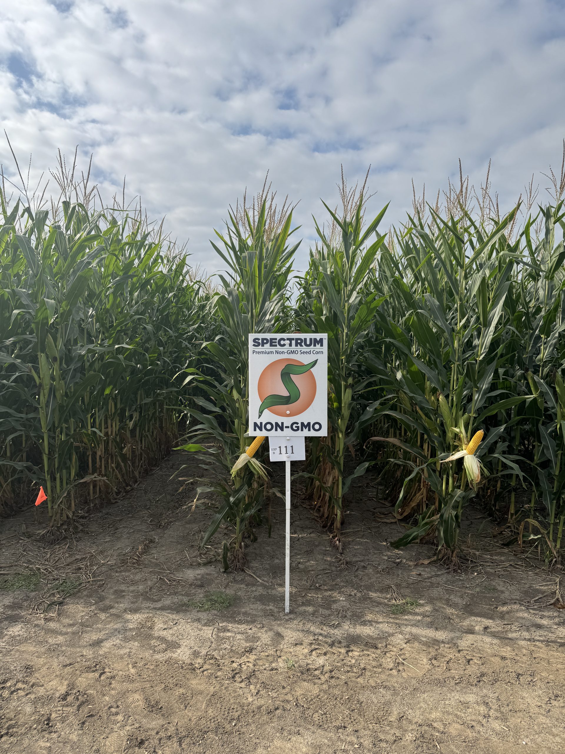 Spectrum plot at Teuscher Family Farm, Tipton, IN