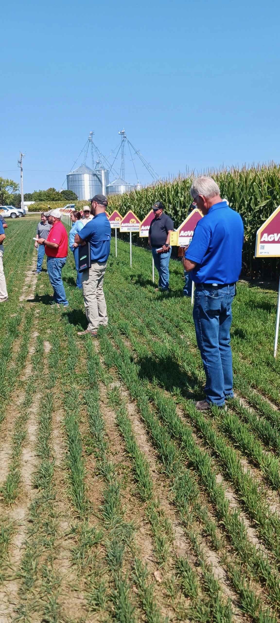 AgVenture (McKillips) plot day in Wabash, IN