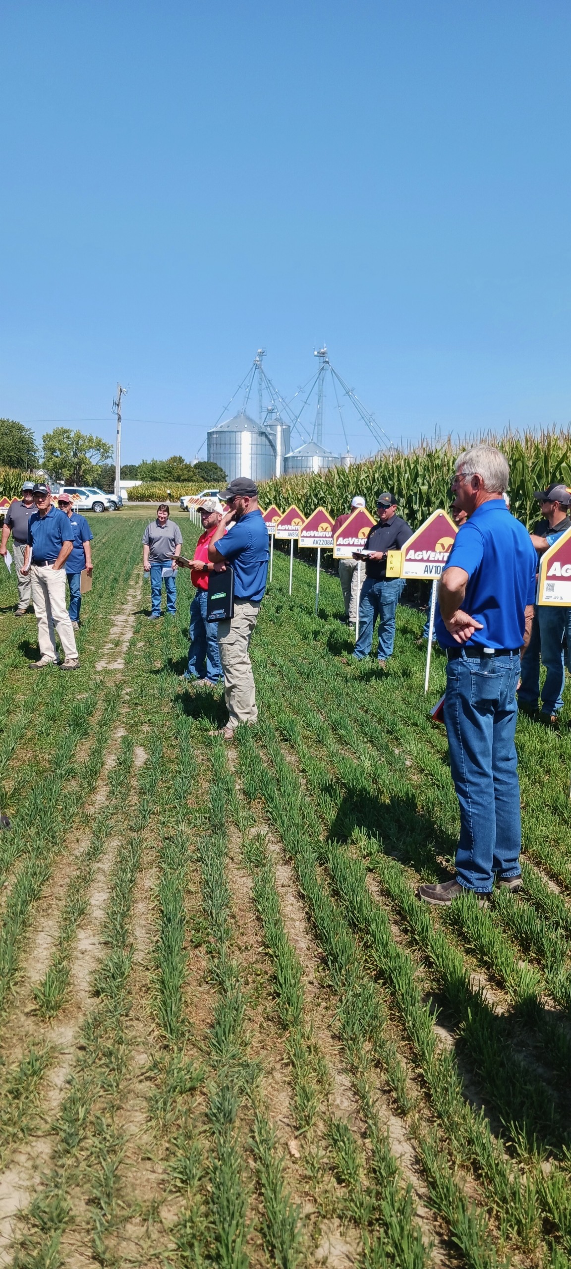 AgVenture (McKillips) plot day in Wabash, IN